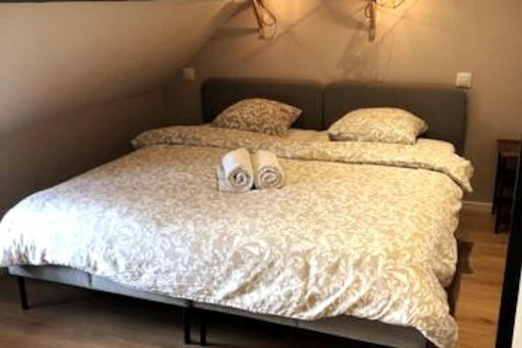 B'M Gretel - Duplex 4 Pers - Vue Cathedrale - Centre Historique 科尔马 外观 照片